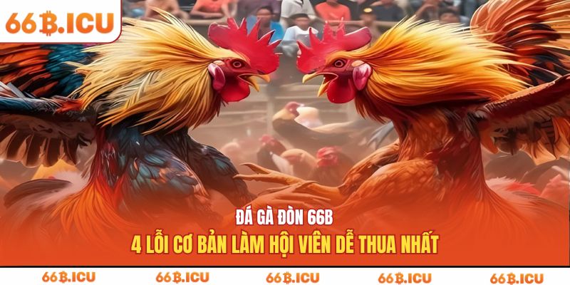 đá gà đòn